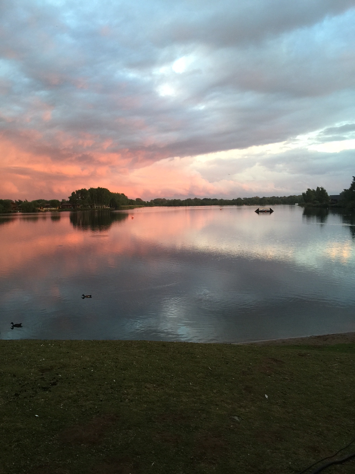 IMG_3861-e1450875422827